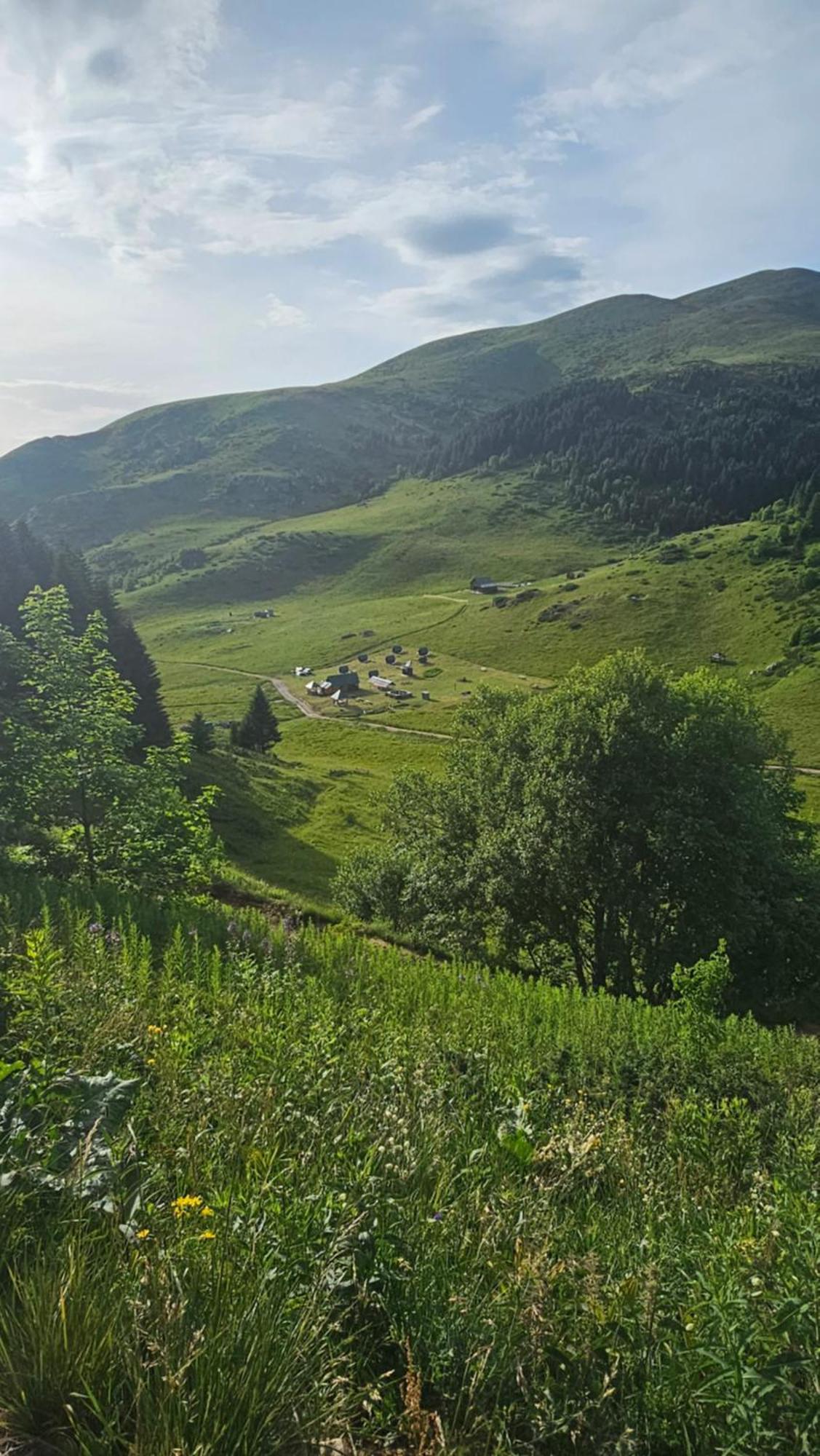 منزل الضيف Kolašin  في Rural Household Janketic المظهر الخارجي الصورة